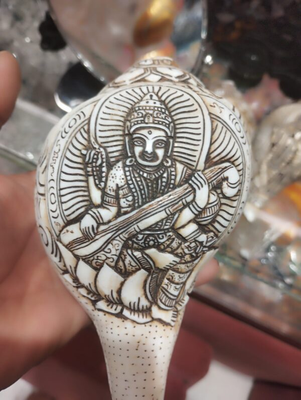 Hand Carved Conch/Shell Sankh - Image 5